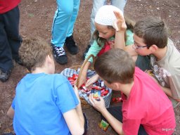 2010 6.A Szabadkígyós